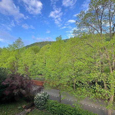 Apartment Villa Elisa Bad Kreuznach Exterior foto